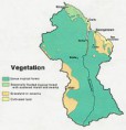 /album/fotogaleria/a200px-guyana-veg-1973-jpg/